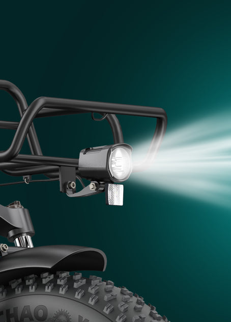 Bicicleta eléctrica L20 Boost Step-Thru
