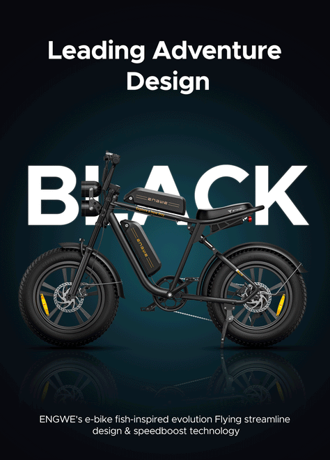 M20 Motorcycle-styled Electric Bike